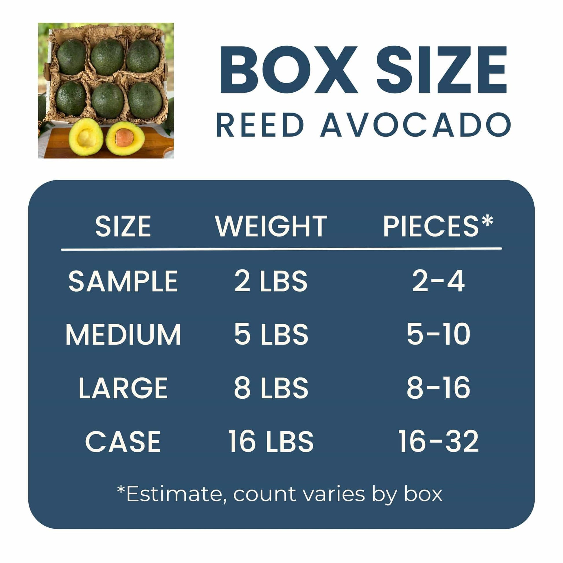 Reed Avocado Good Hill Farms Fruit: Avocado, Reed