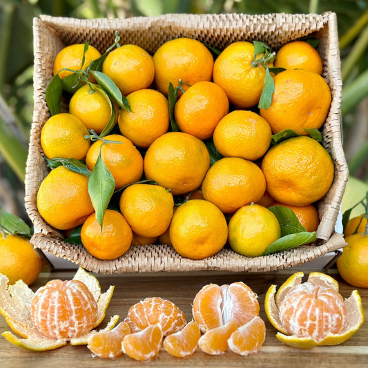 Satsuma Mandarin Good Hill Farms Fruit: Mandarin, Satsuma