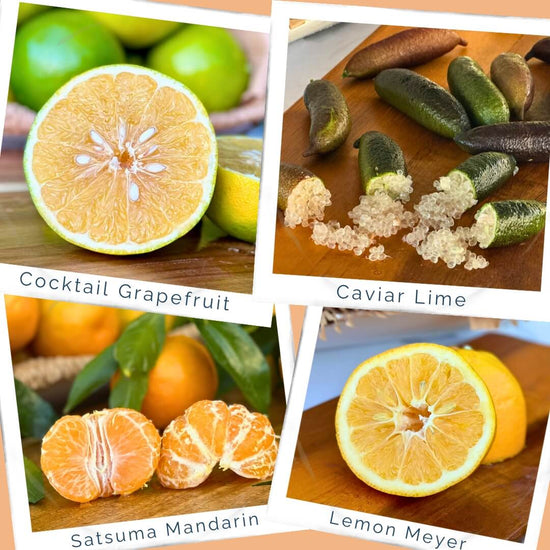 Specialty Citrus Bundle - 8lb box Good Hill Farms Mix Box: Bundle