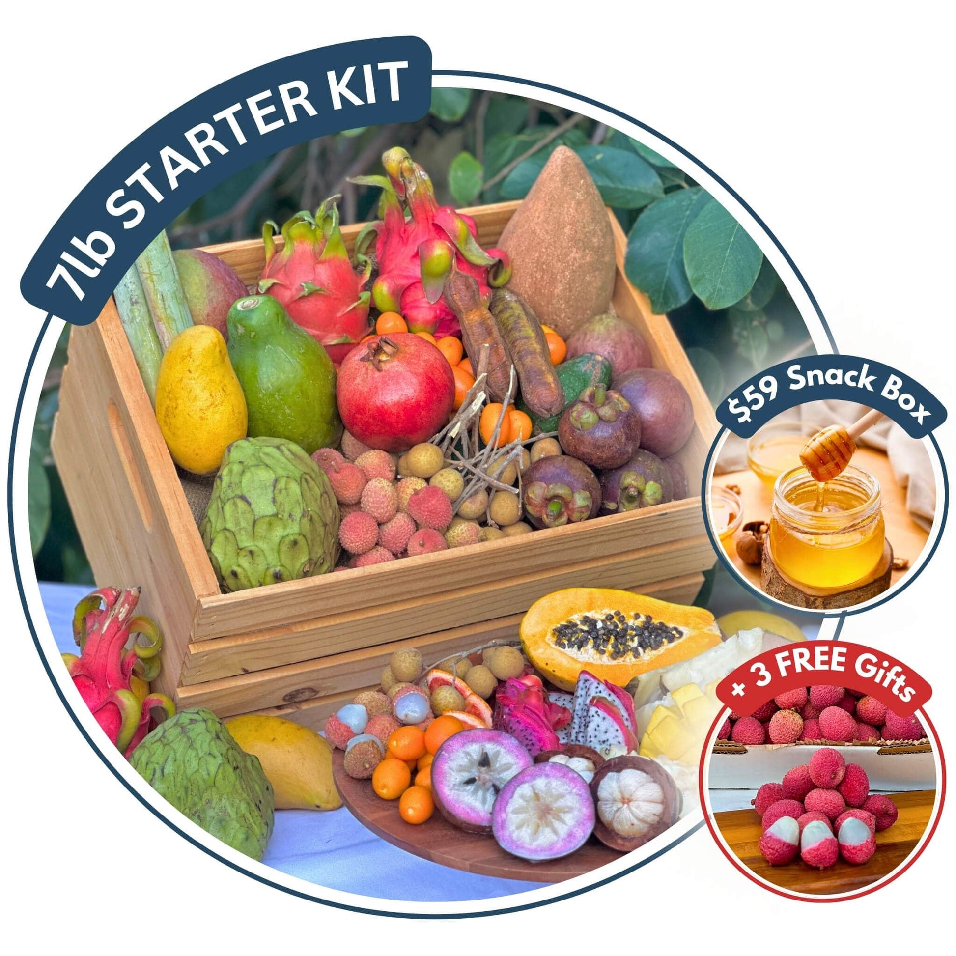 Specialty Fruit Starter Kit Good Hill Farms Mix Box: Bundle, Family Feast