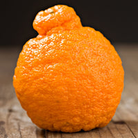 Sumo Tangerine Good Hill Farms Fruit: Tangerine, Sumo