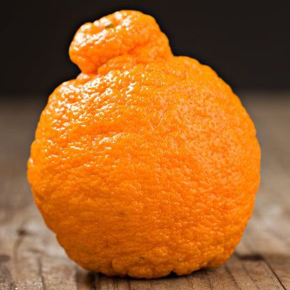 Sumo Tangerine Good Hill Farms Fruit: Tangerine, Sumo