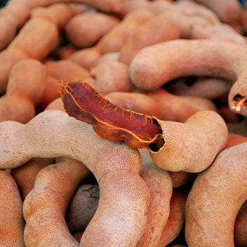 Tamarind Good Hill Farms Fruit: Tamarind