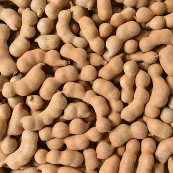 Tamarind Good Hill Farms Fruit: Tamarind