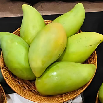 Thai Honey Mango (Nam Doc Mai) Good Hill Farms Fruit: Mango, Nam Doc