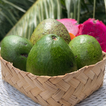 Tropical Avocado Variety Good Hill Farms Fruit: Avocado, Variety