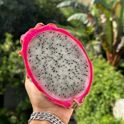 White Dragon Fruit Good Hill Farms Fruit: Dragon Fruit, White