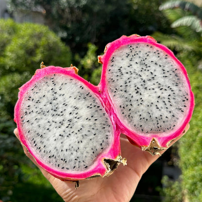 White Dragon Fruit (Pitaya) Good Hill Farms Fruit: Dragon Fruit, White