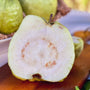 White Guava Good Hill Farms Fruit: Guava, Thai White