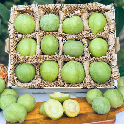 White Sapote Good Hill Farms Fruit: Sapote, White