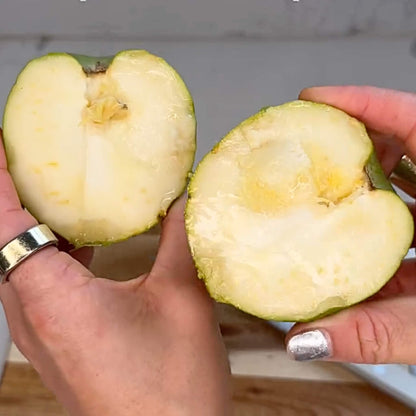 White Sapote Good Hill Farms Fruit: Sapote, White