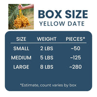 Yellow Barhi Dates Good Hill Farms Fruit: Date, Yellow