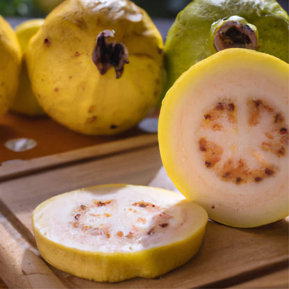 Yellow Cream Guava (Mexican Guayaba) Good Hill Farms Fruit: Guava, Mexican Cream