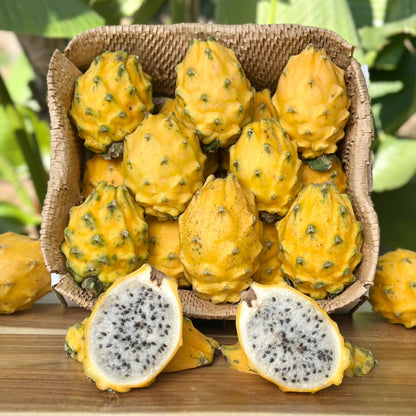 Yellow Dragon Fruit (Pitaya) Good Hill Farms Fruit: Dragon Fruit, Yellow