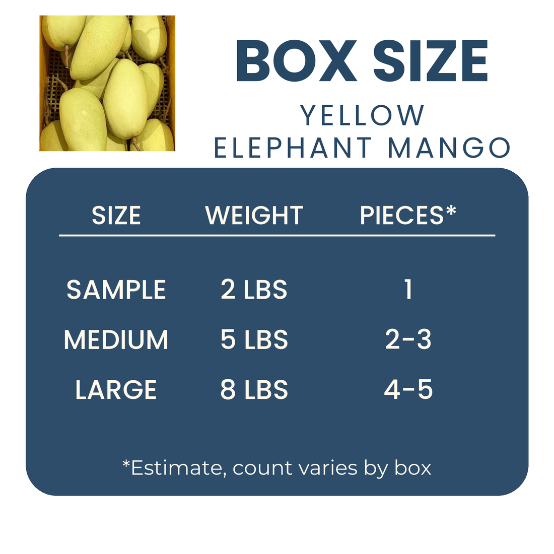 Yellow Elephant Mango Good Hill Farms Fruit: Mango, Yellow Elephant