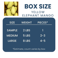 Yellow Elephant Mango Good Hill Farms Fruit: Mango, Yellow Elephant