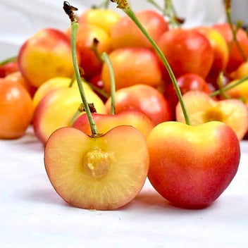 Yellow Rainier Cherry Good Hill Farms Fruit: Cherry, Yellow