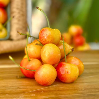 Yellow Rainier Cherry Good Hill Farms Fruit: Cherry, Yellow