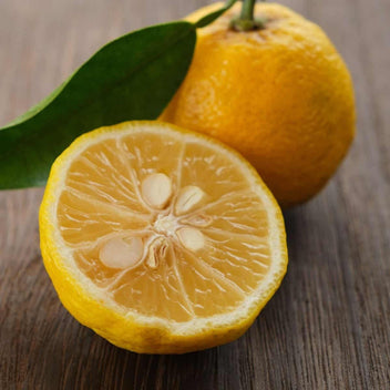 Yuzu Citrus Good Hill Farms Fruit: Yuzu